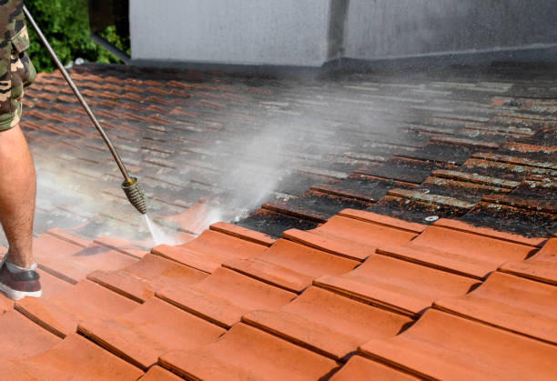 Best Power Washing Near Me  in West Dundee, IL