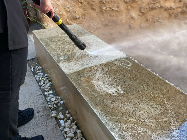 Best Roof Power Washing Services  in West Dundee, IL