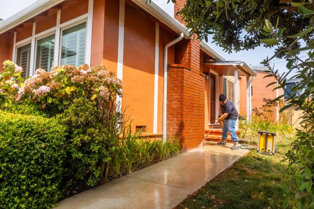 Best Affordable Power Washing  in West Dundee, IL