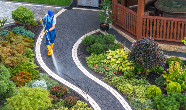 Best Commercial Building Pressure Washing  in West Dundee, IL
